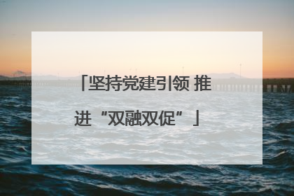 坚持党建引领 推进“双融双促”